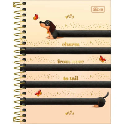 CADERNO 1MT ESP CD 60F COLEGIAL BROWNIE TILIBRA
