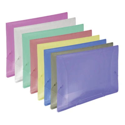 PASTA ELASTICA PLASTICA FINA OFICIO - DAC