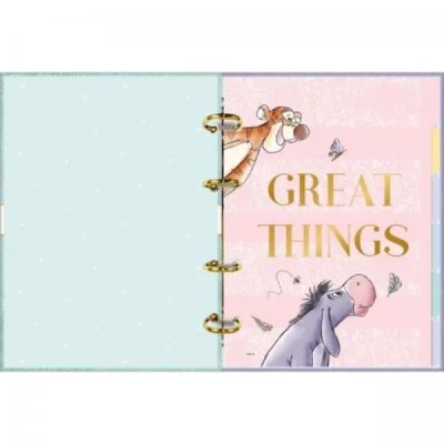 CADERNO ARGOLADO COLEGIAL POOH - TILIBRA