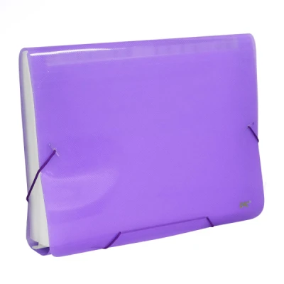 PASTA SANFONADA 31 DIV A4 LILAS 6018PP - DAC