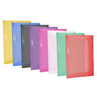 PASTA ELASTICA PLASTICA FINA OFICIO - DAC