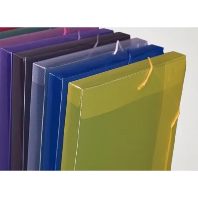 PASTA ELASTICA PLASTICA 20MM OFICIO - ACP