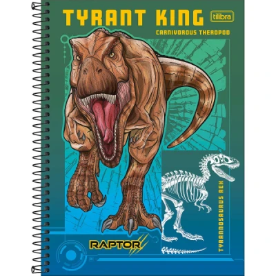 CADERNO 1MT 80F ESP CD UNIV RAPTOR TILIBRA
