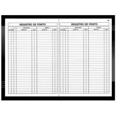 LIVRO PONTO C/50F 21X31 GRANDE ANATIVA