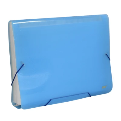 PASTA SANFONADA 31 DIV A4 AZUL 6018PP - DAC