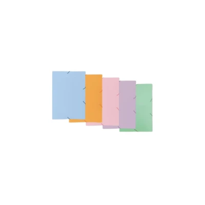 PASTA ELASTICA PLASTICA FINA OFICIO PASTEL- ACP