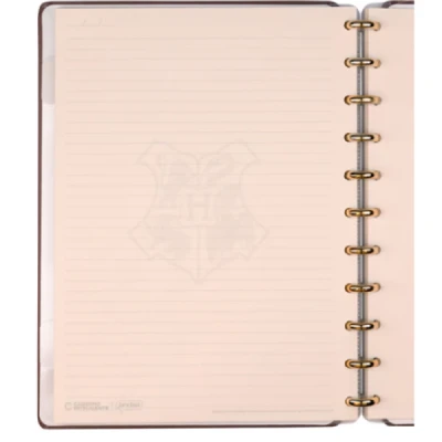 CADERNO INTELIGENTE HARRY POTTER CHAPEU SELETOR - MEDIO CMD3388