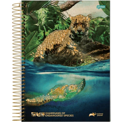 CADERNO 15MT 240F ESP CD UNIV DISCOVERY JANDAIA