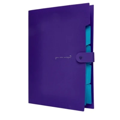 PASTA SANFONADA 5 DIV A4 - LILAS NEON 202529 POLIBRAS