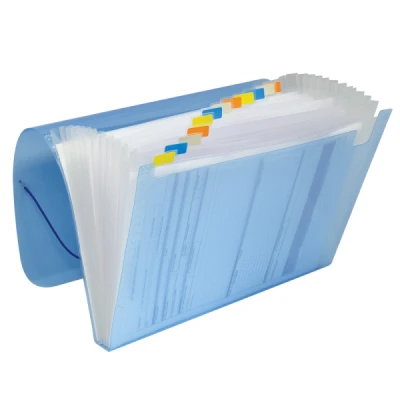 PASTA SANFONADA 12 DIV 330X240MM AZUL 6090PP DAC