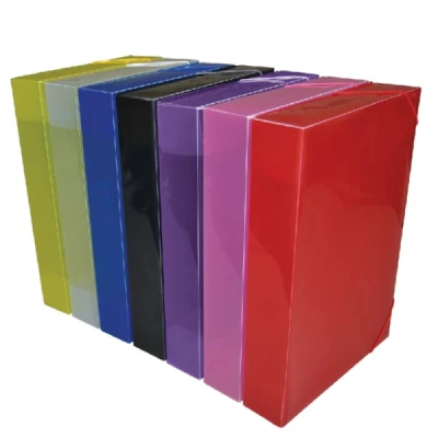 PASTA ELASTICA PLASTICA 55MM OFICIO  - DAC