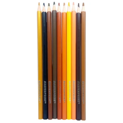 LAPIS DE COR C/10 TONS DE PELE MP-714  MASTERPRINT