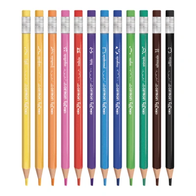 LAPIS DE COR C/12 APAGAVEL BIG COLOR JOY REF10344 LEOELEO