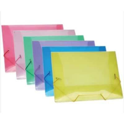 PASTA ELASTICA PLASTICA MINI (245X180MM) - ACP