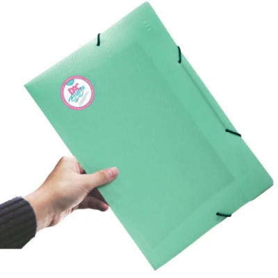 PASTA ELASTICA PLASTICA FINA OFICIO VERDE PASTEL BREEZE REF801PP - DAC