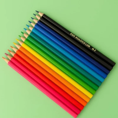 LAPIS DE COR C/12 +2 LAPIS GRAFITE 11.1200N+2G MULTICOLOR