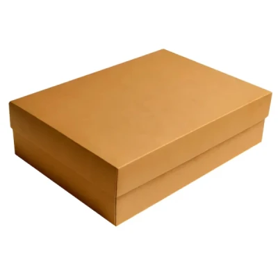CAIXA PARA PRESENTE COM TAMPA KRAFT GD 35X25,5X7,5CM CRISTINA