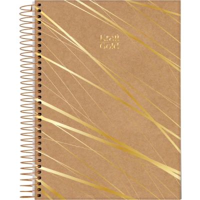 CADERNO 10MT 160F ESP CD UNIV KRAFT GOLD JANDAIA