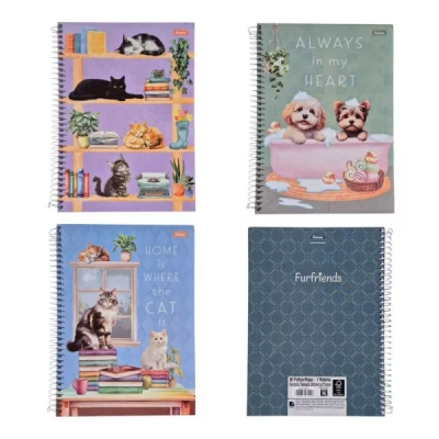 CADERNO 1MT 80F ESP CD UNIV FURFRIENDS FORONI
