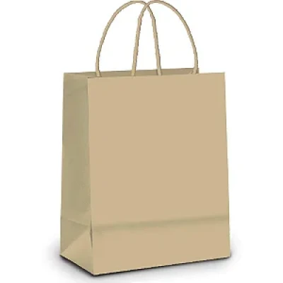 SACOLA PARA PRESENTE LISA CORES SORTIDAS M 26X19X9CM PE7068 - CROMUS