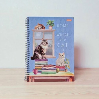 CADERNO 1MT 80F ESP CD UNIV FURFRIENDS FORONI