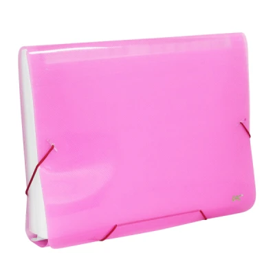 PASTA SANFONADA 31 DIV A4 ROSA 6018PP - DAC